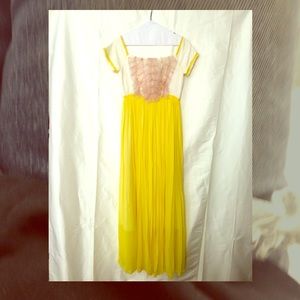 Vintage Chiffon Dress